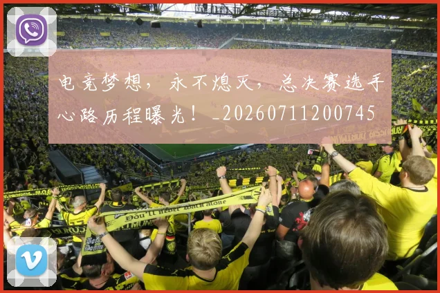 电竞梦想,永不熄灭,总决赛选手心路历程曝光!_20260711200745
