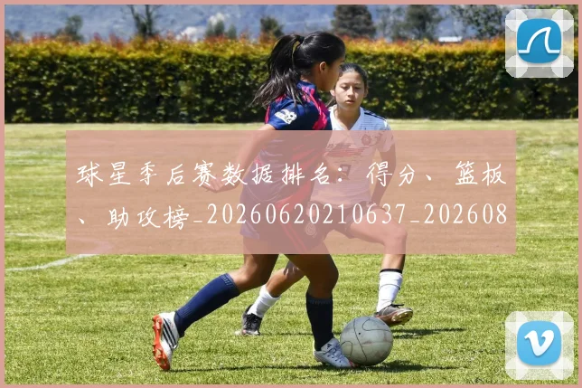 球星季后赛数据排名:得分、篮板、助攻榜_20260620210637_20260802160547