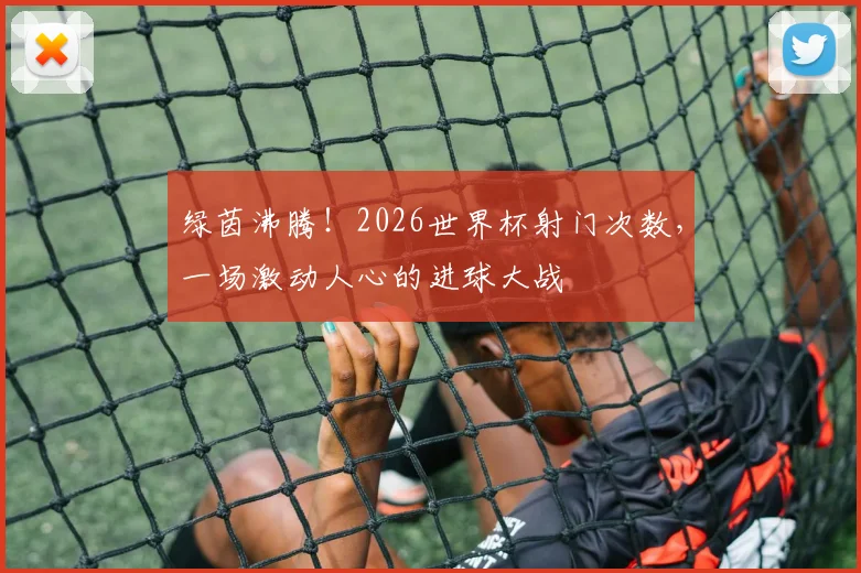 绿茵沸腾！2026世界杯射门次数，一场激动人心的进球大战